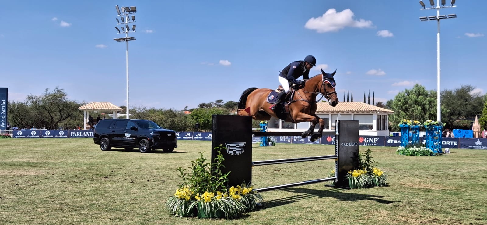 92e49046-8939-45ce-a4ff-c16fd87a6f4c